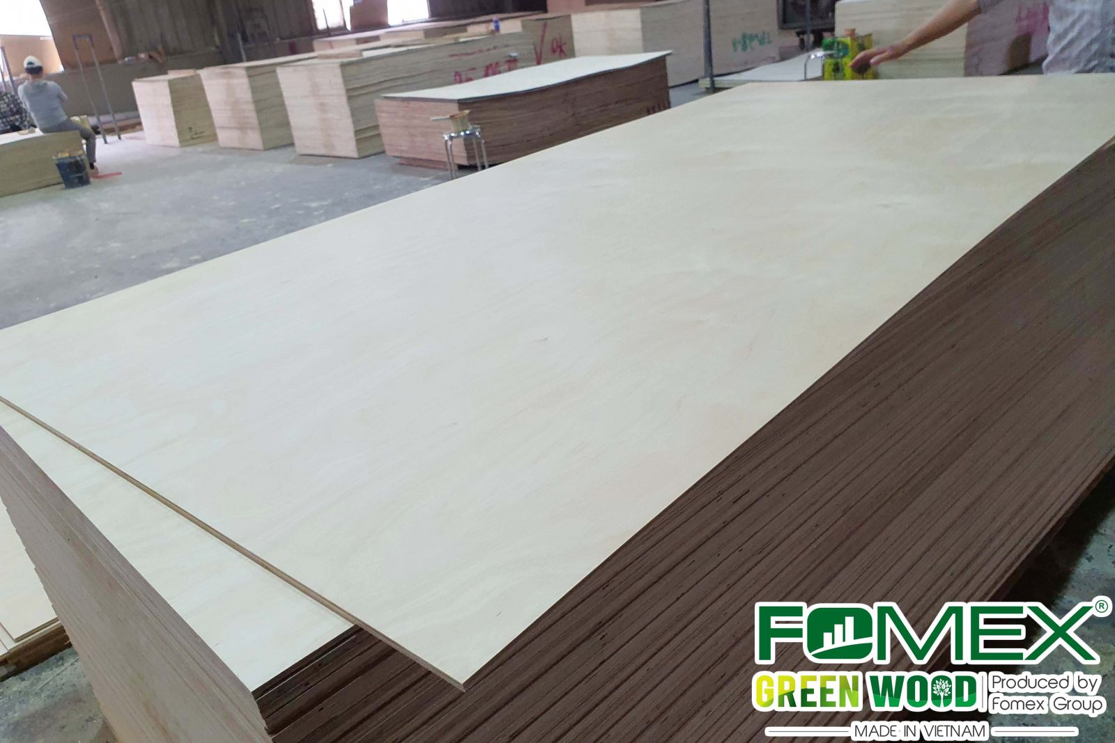 Birch furniture plywood panel — E0 grade, FSC® certified