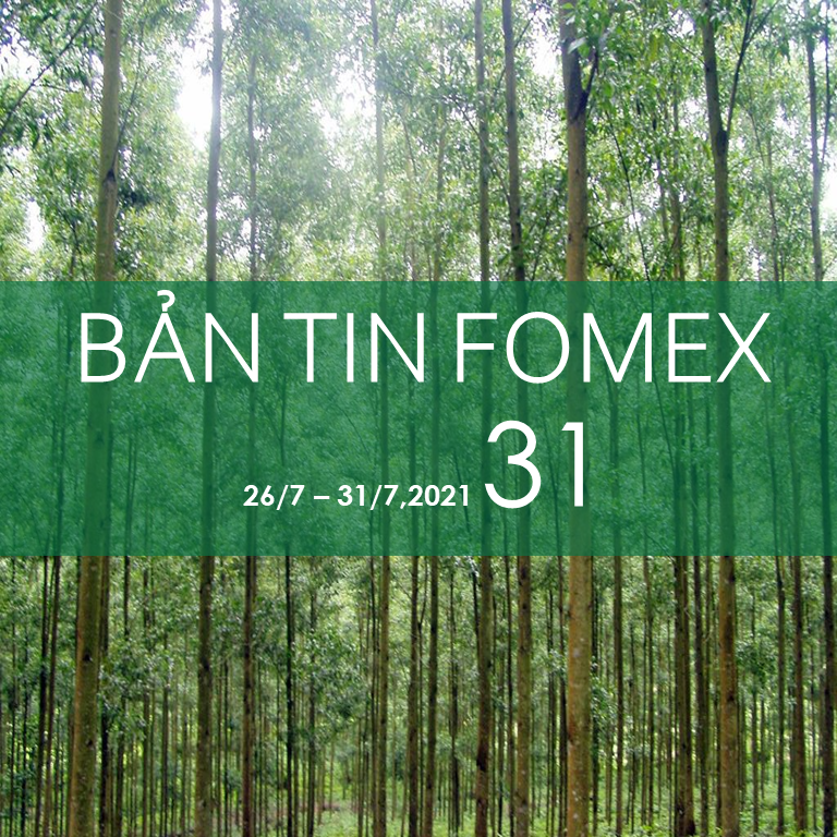 Bản tin Fomex 31