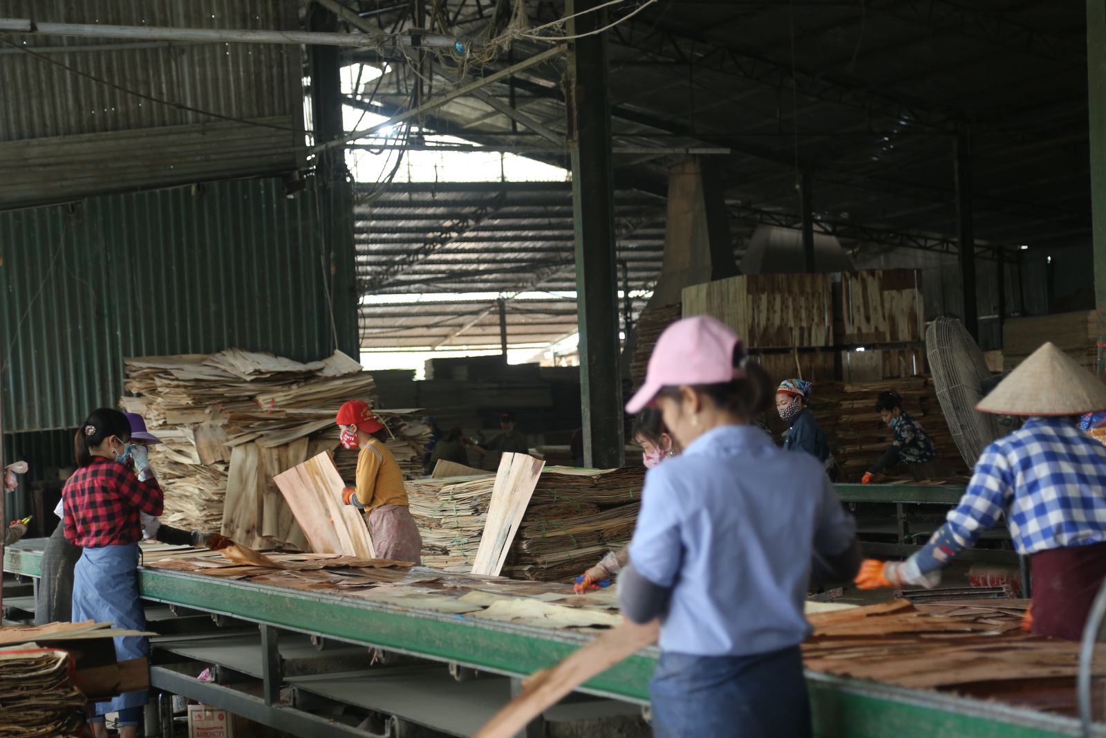 Vietnam Plywood : Has a huge amount of Potential. 