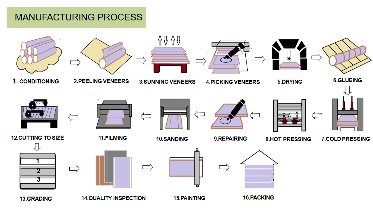Plywood Manufacturing process