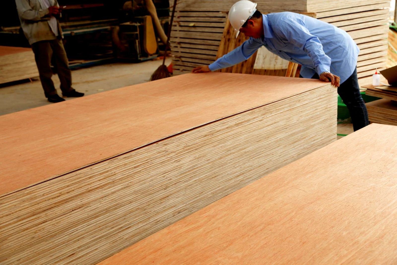 Plywood or Natural Solid Wood