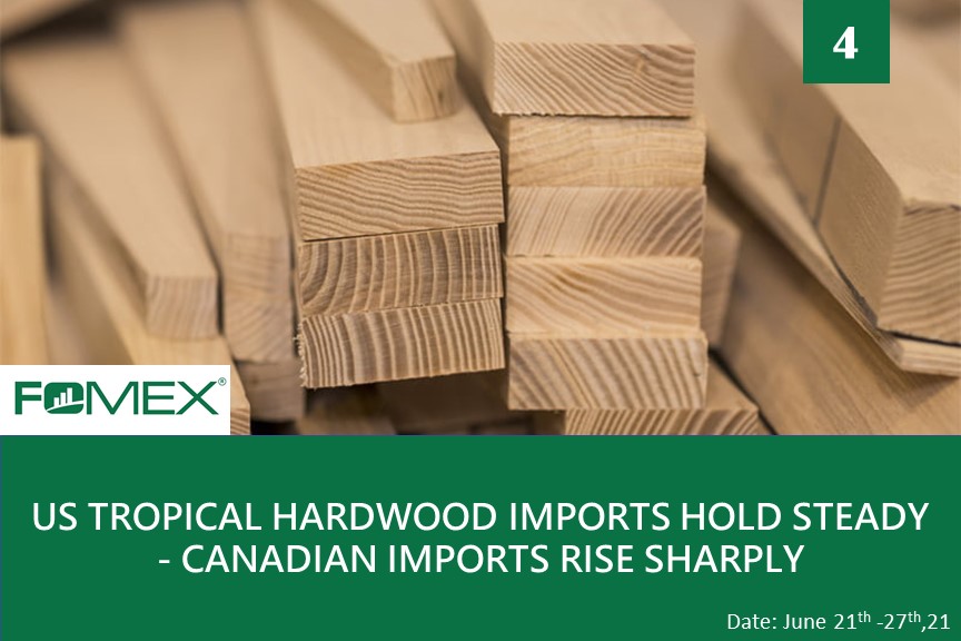 US import Tropical Hardwood from Vietnam Fomex Group