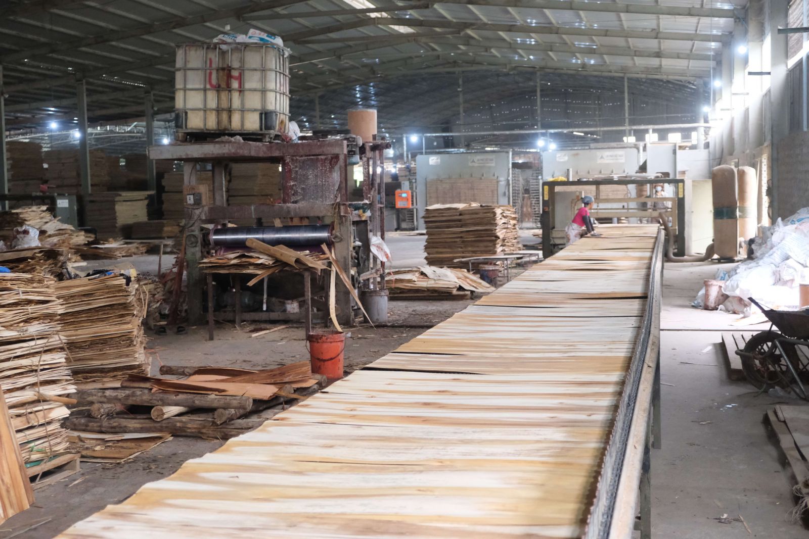 Vietnam Plywood : Has a huge amount of Potential. 