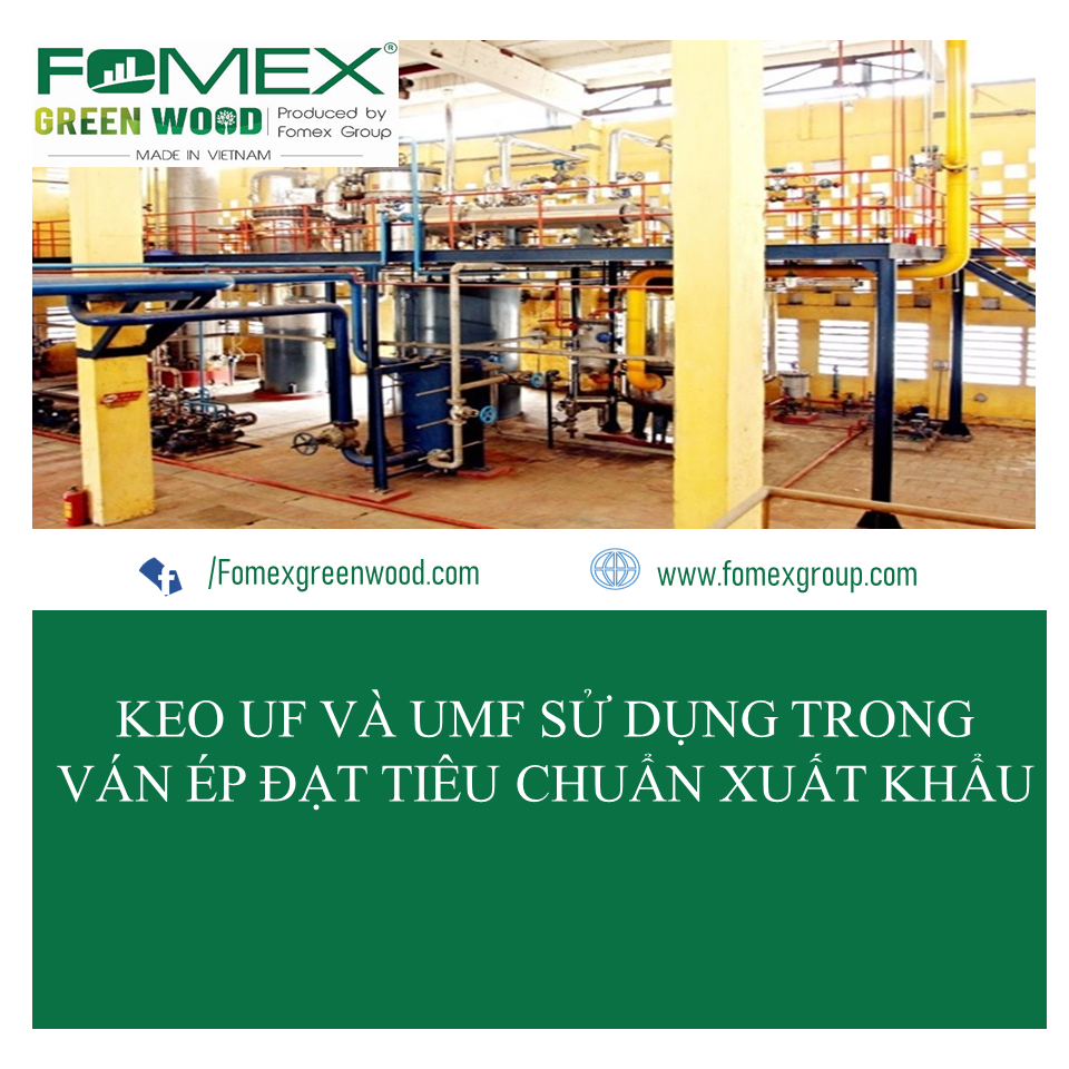 Bản tin Fomex 31