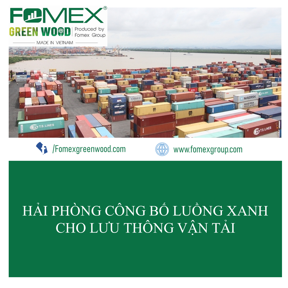 Bản tin Fomex 1 tuần 31 