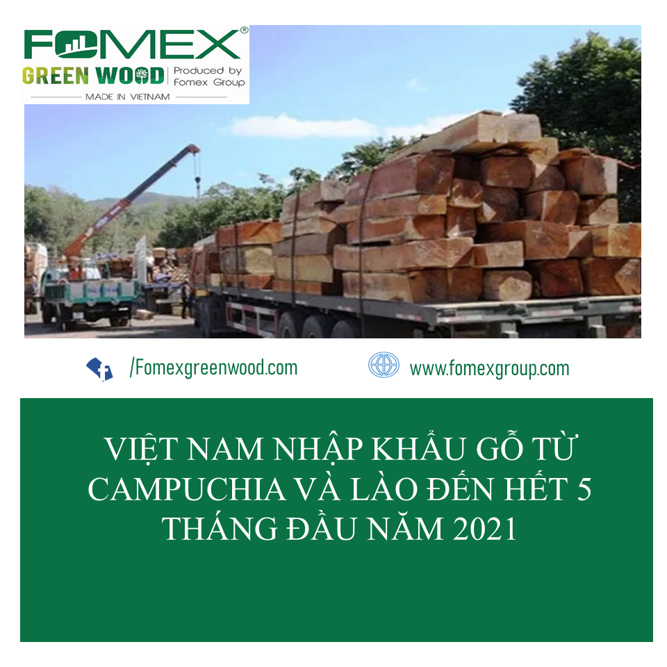 Bản tin Fomex 4 tuần 31 