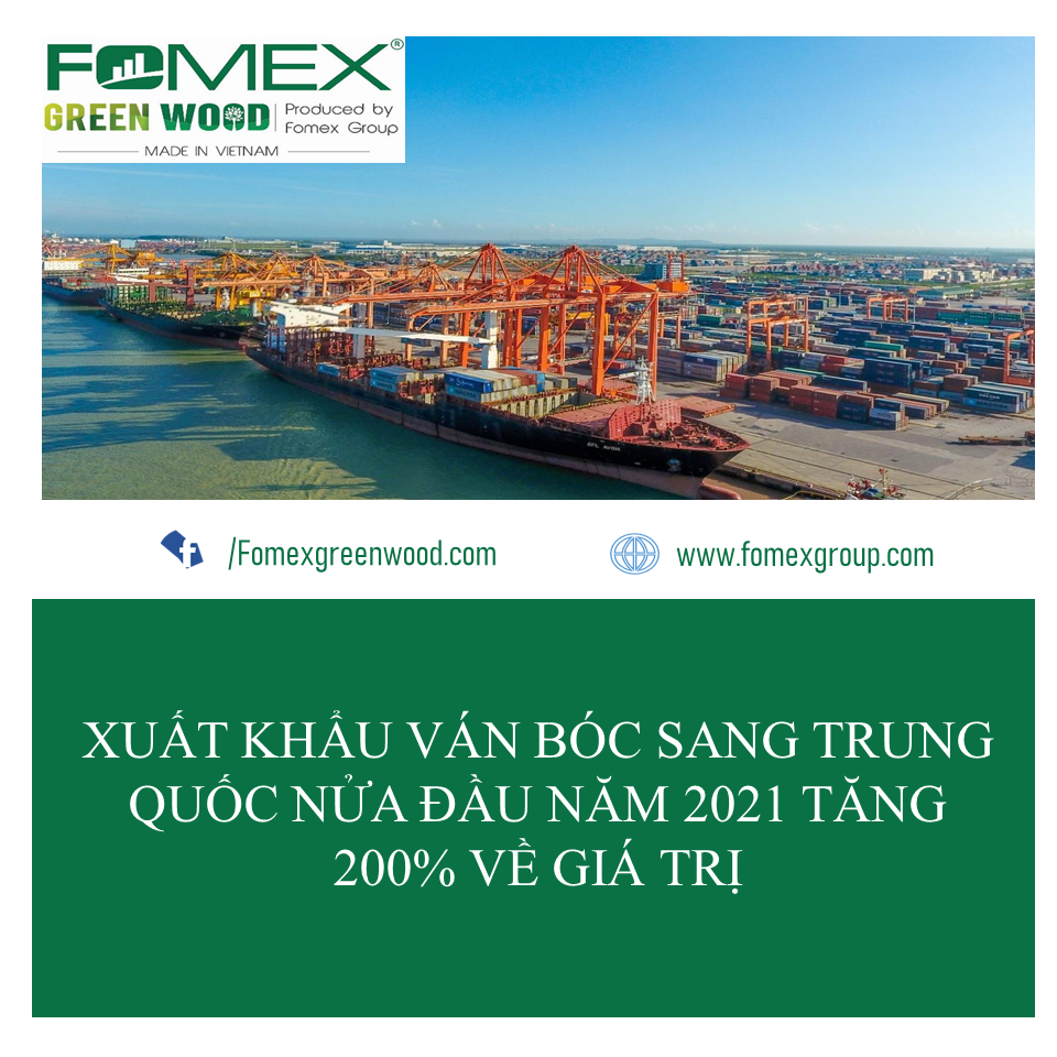 Bản tin Fomex 6 tuần 31 