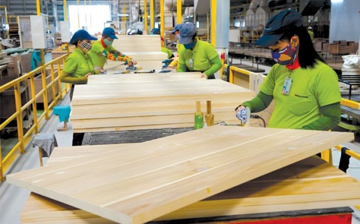 Vietnam Timber Industry Wood factory