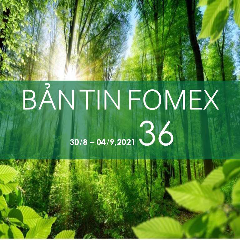 BẢN TIN FOMEX SỐ 36 (30-04/09/2021)