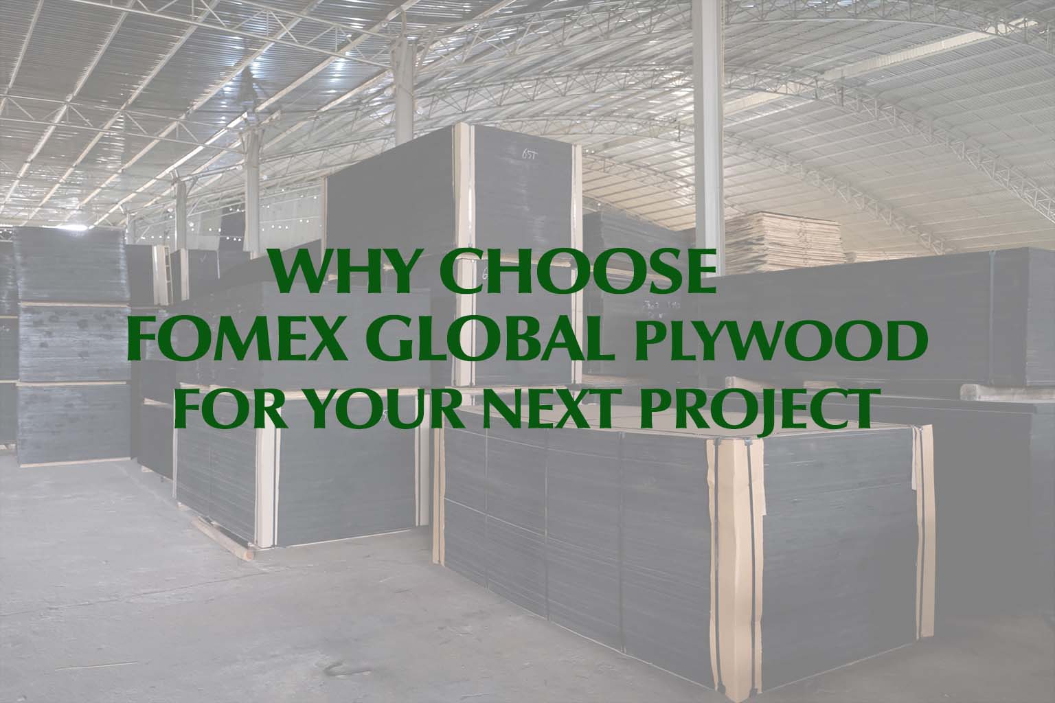 Why Choose Fomex Global Plywood for Your Next Project