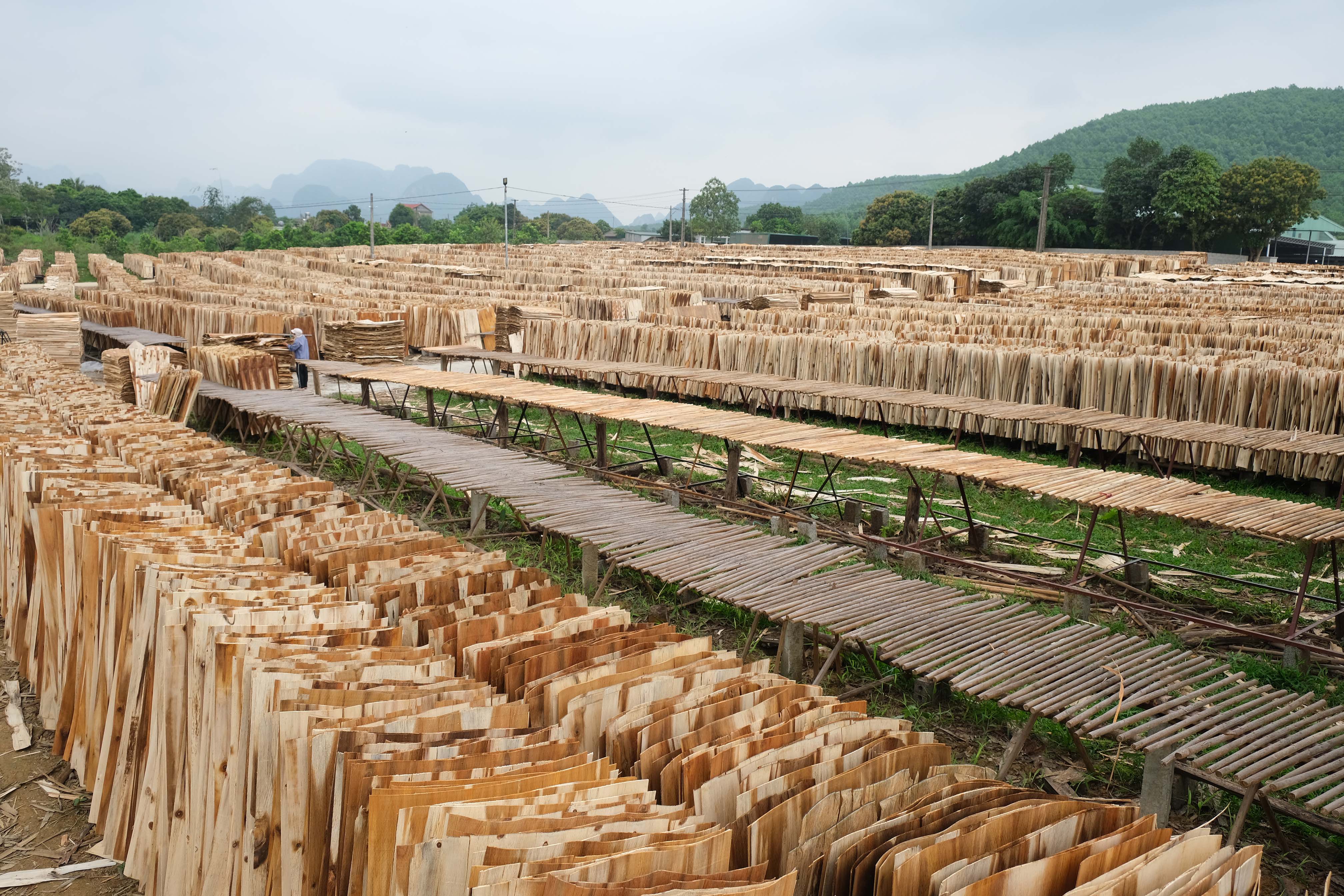 NHÀ MÁY VÁN BÓC FOMEX