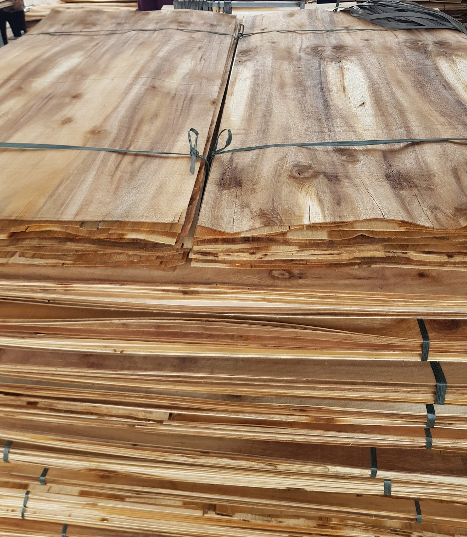 Core Veneer characteristics for plywood manufacturing in Vietnam & FOMEX Factories