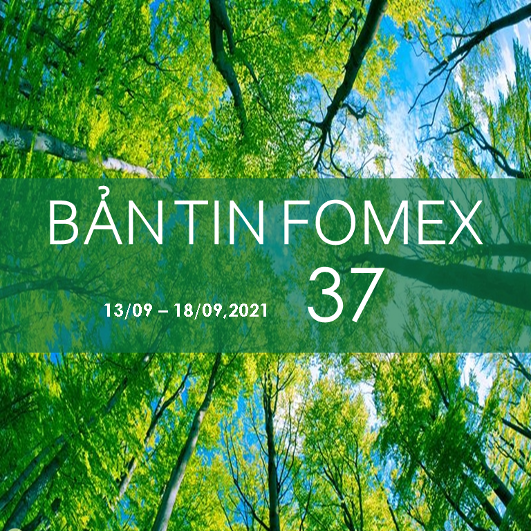 BẢN TIN FOMEX SỐ 37 (13-18/09/2021)