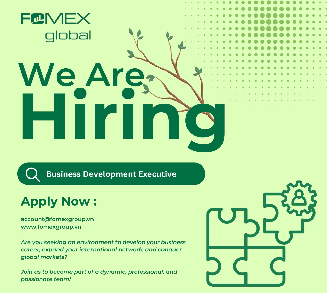 INTERNATIONAL CAREER OPPORTUNITY – JOIN FOMEX GLOBAL’S SALES TEAM!