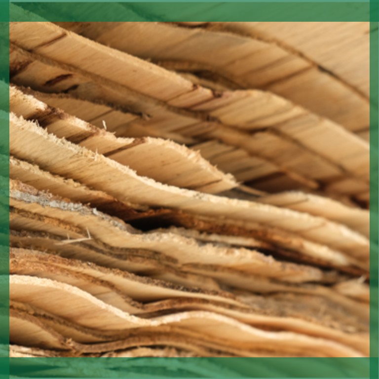 WHAT IS VENEER PLYWOOD? AND APPLICATION IN PRODUCING PLYWOOD