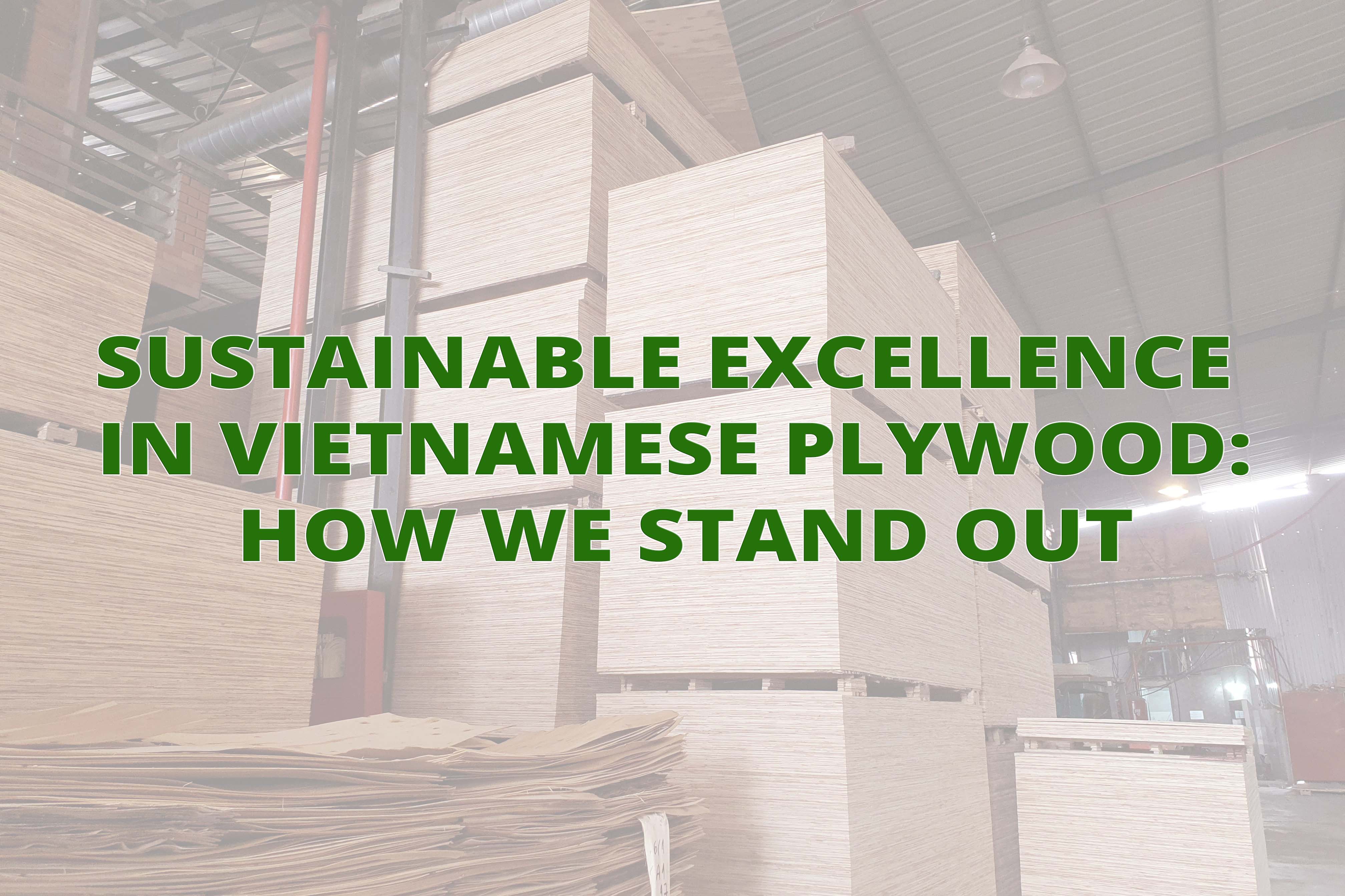 Sustainable Excellence in Vietnamese Plywood: How We Stand Out