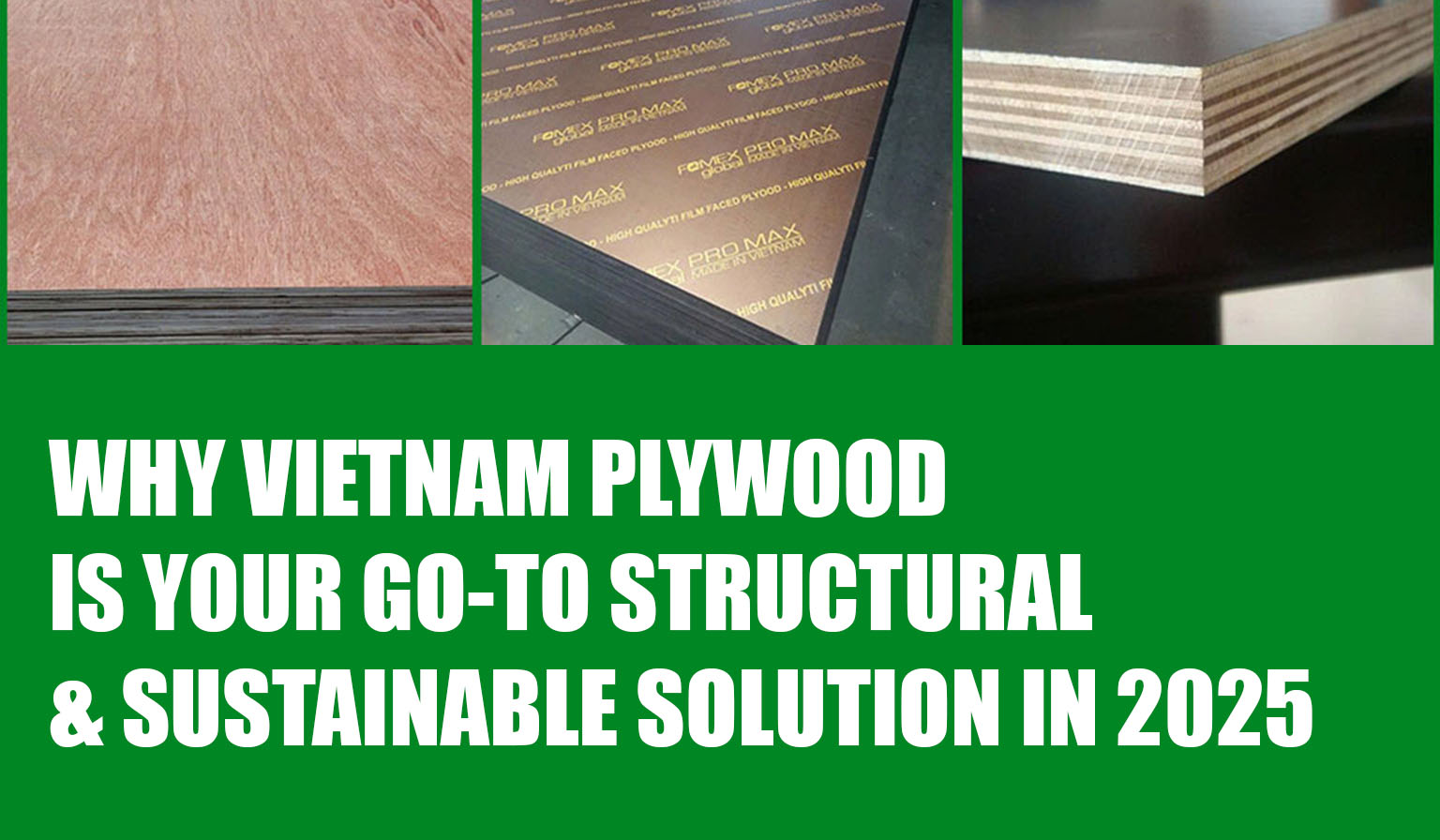 Why Vietnam Plywood Is Your Go-To Structural & Sustainable Solution in 2025
