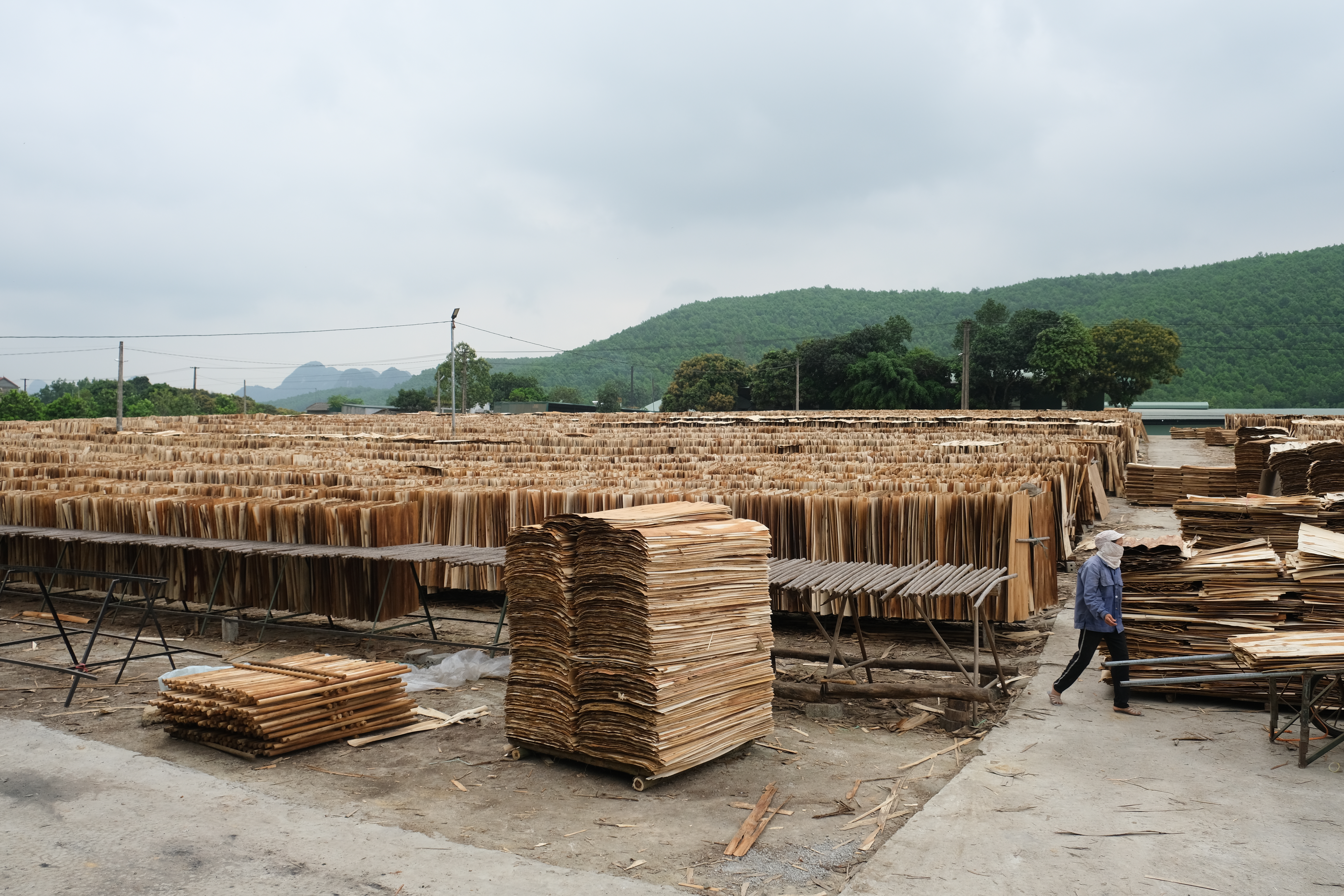 Sustainable Excellence in Vietnamese Plywood. How We Stand Out
