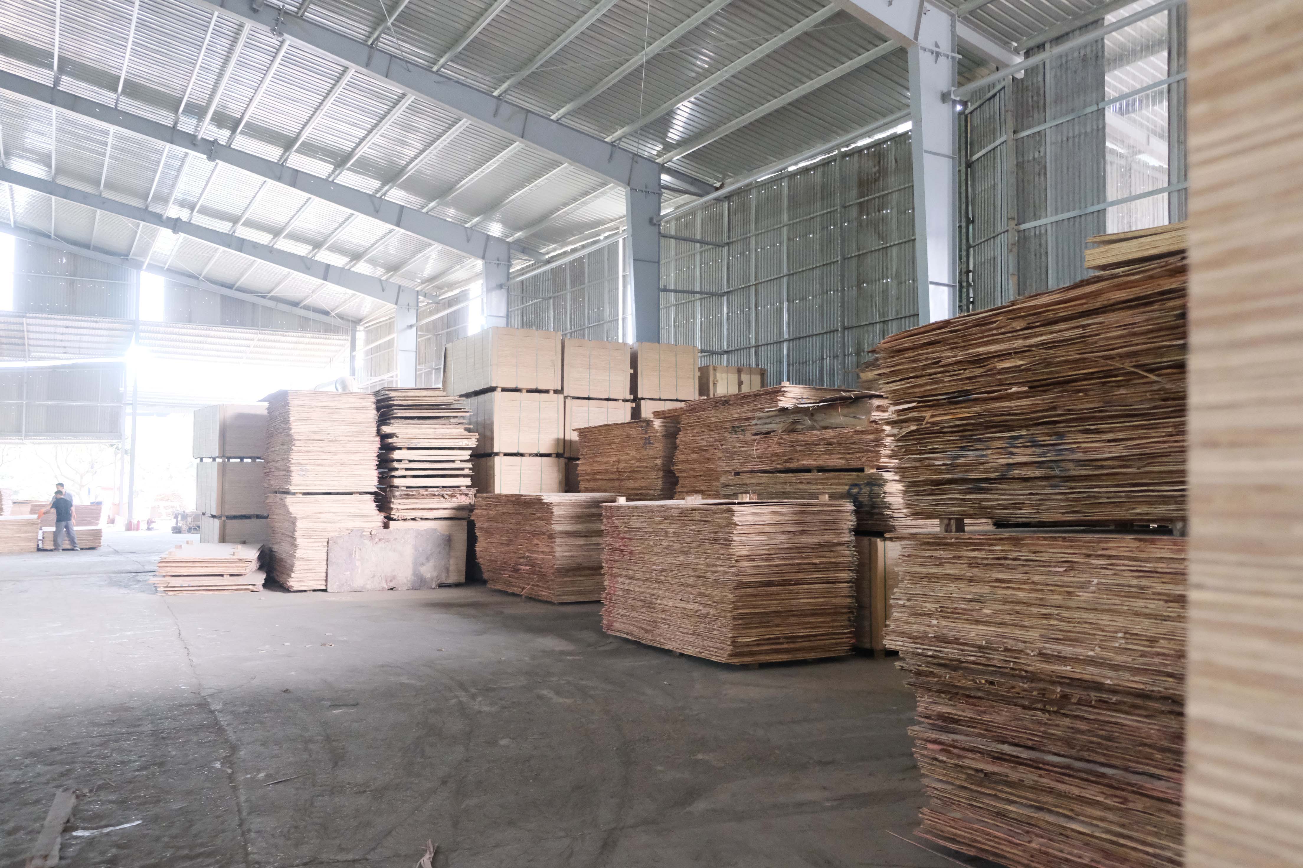 Packaging Plywood Factory