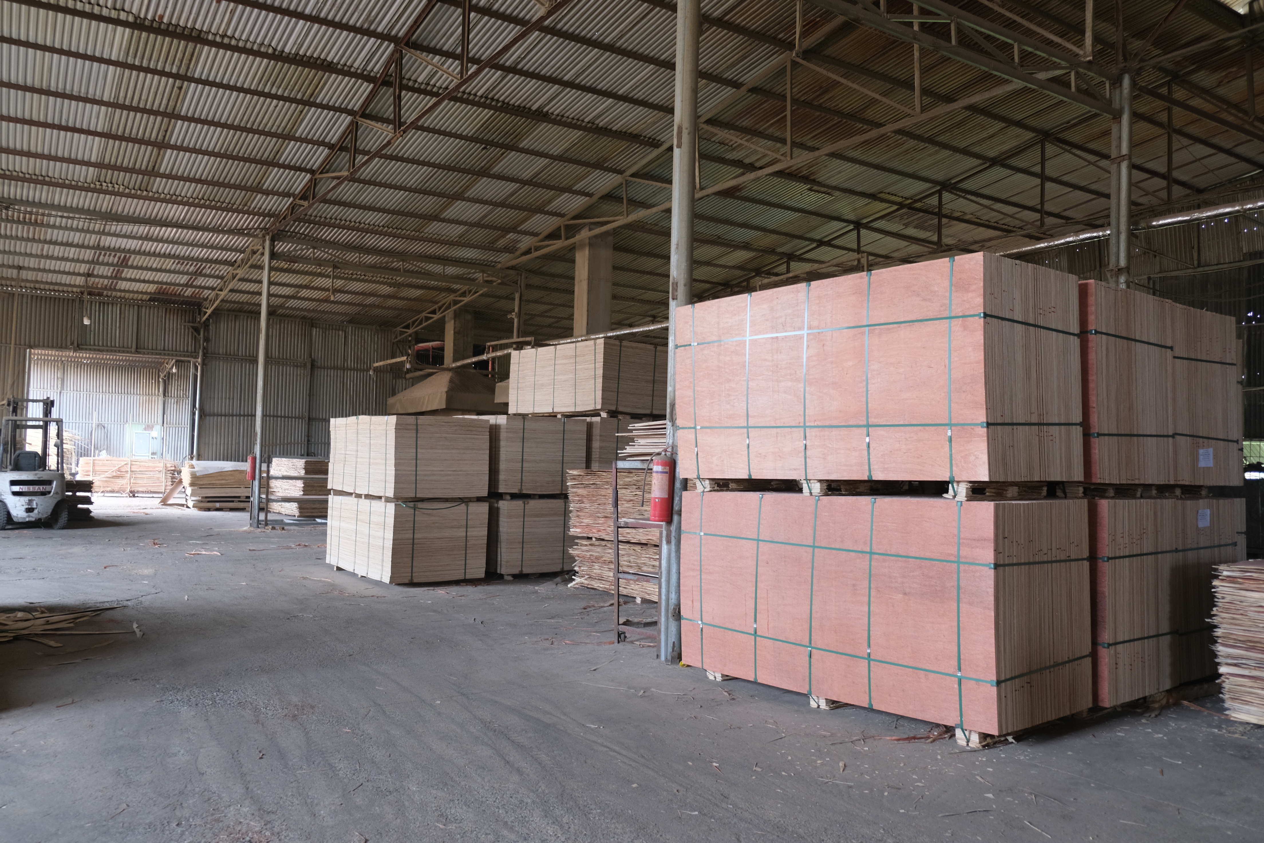 Commercial Plywood Factory