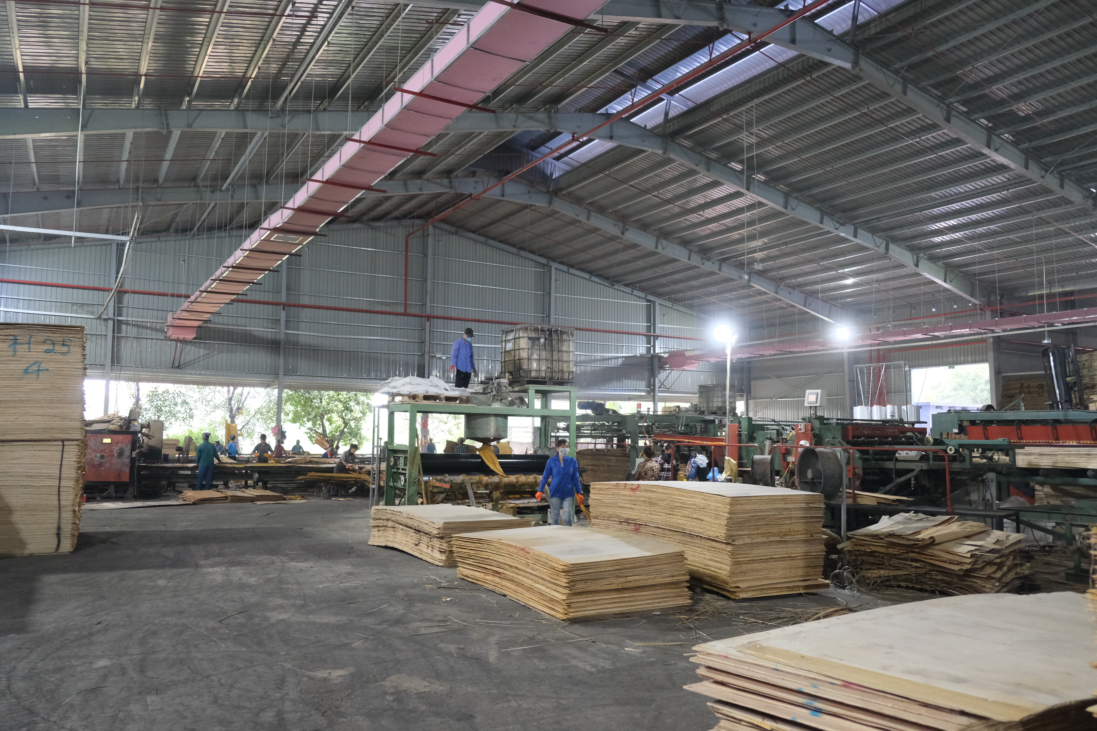 Furniture Plywood Factory