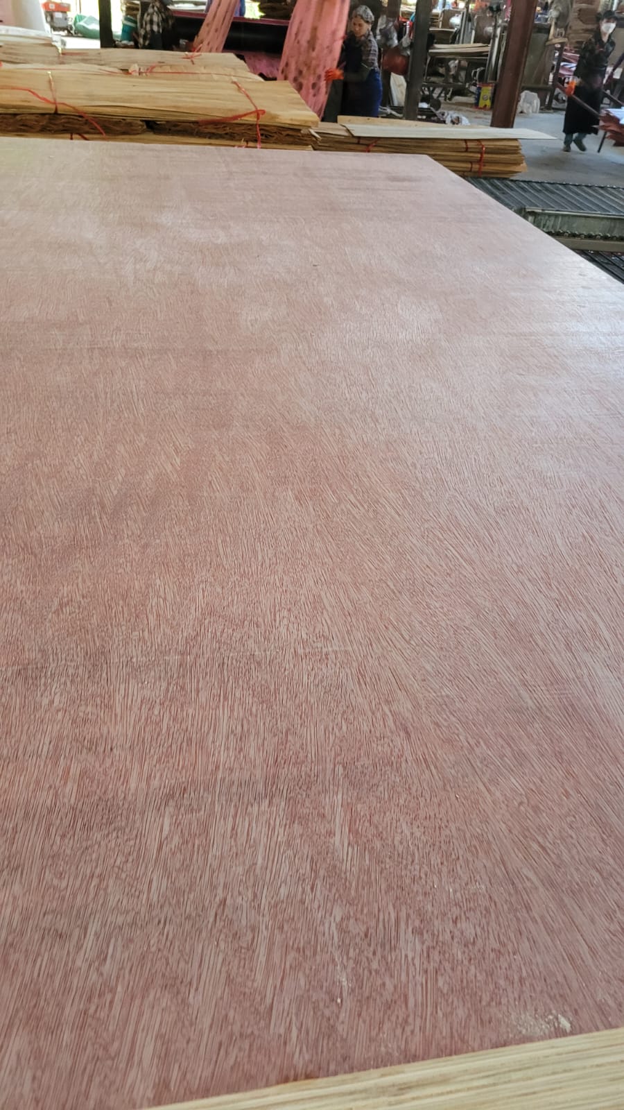 Bintangor Faced Plywood