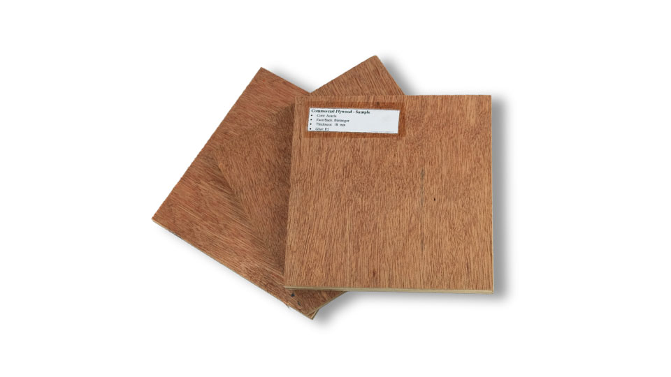 Ván ép mặt Bintangor